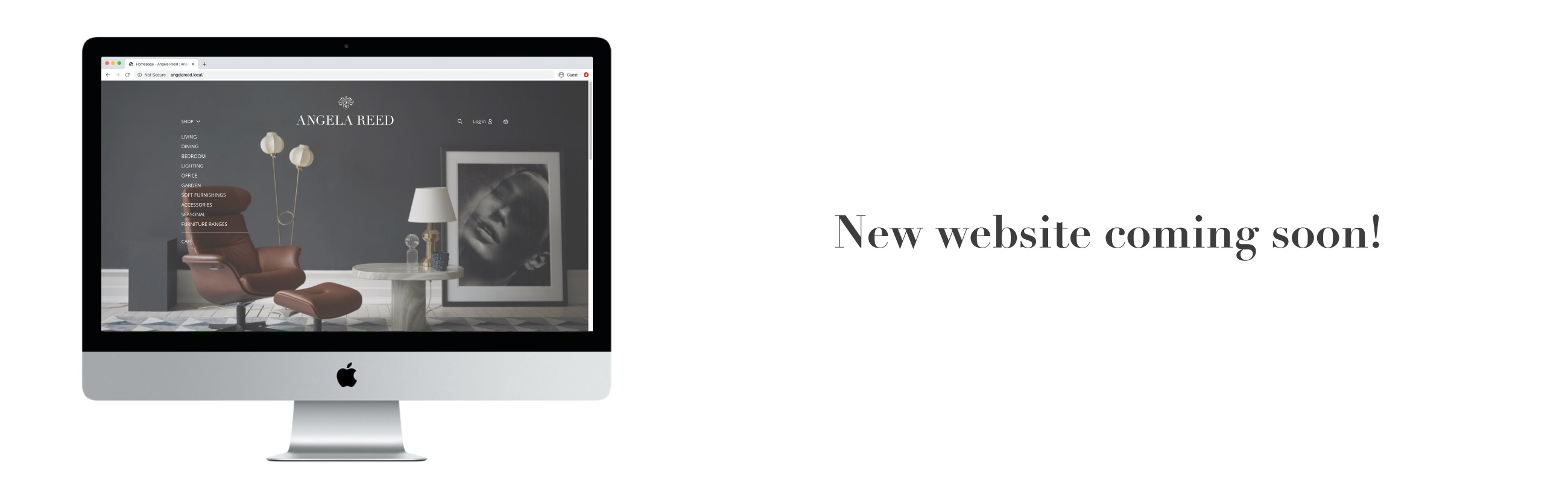 Angela Reed Furniture and Fine Things